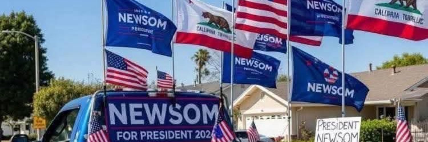 I support Dem power at all political costs banner