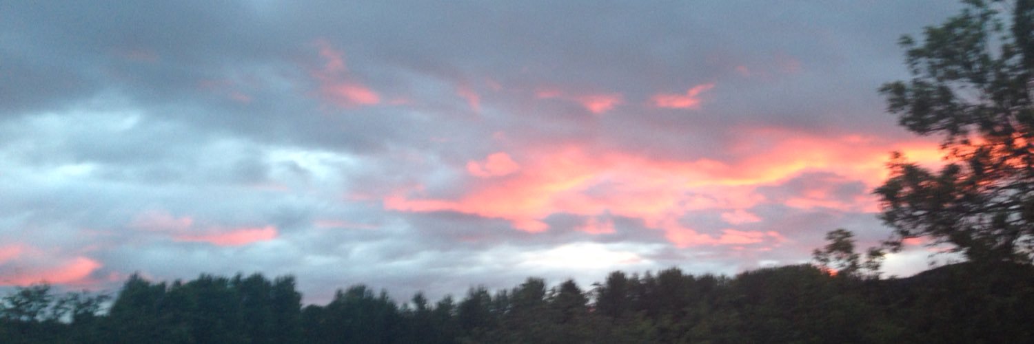 Luna Maria Rey Williams banner