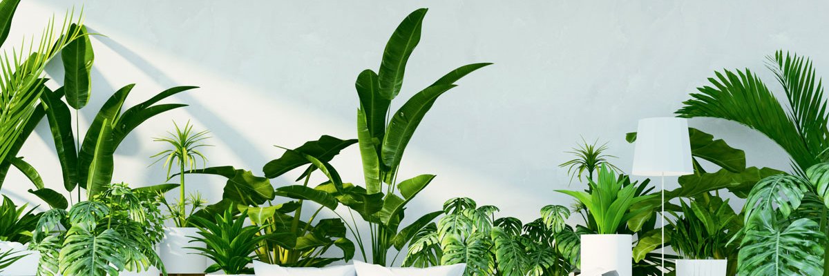 talibeedle's profile banner image