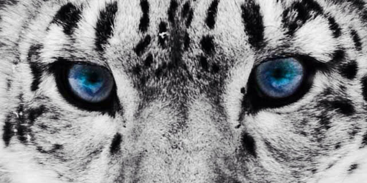 Estherella26's profile banner image