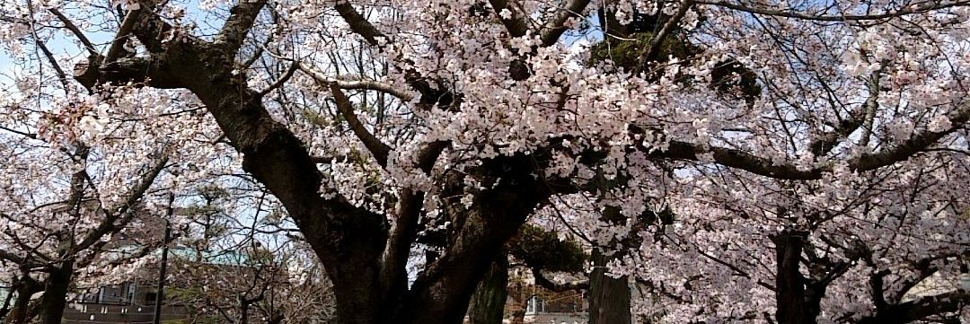 hidekichi_guy's profile banner image