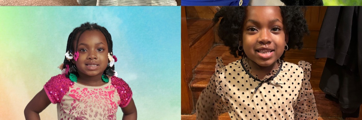 RIPAnna1's profile banner image