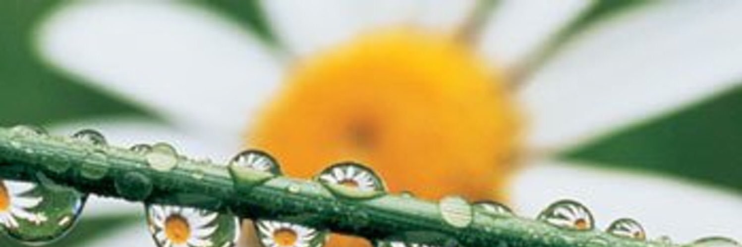 Gretha101's profile banner image