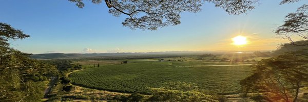 craigharding Profile Banner