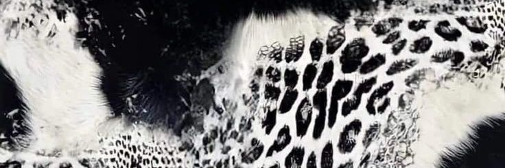 cmhiby's profile banner image