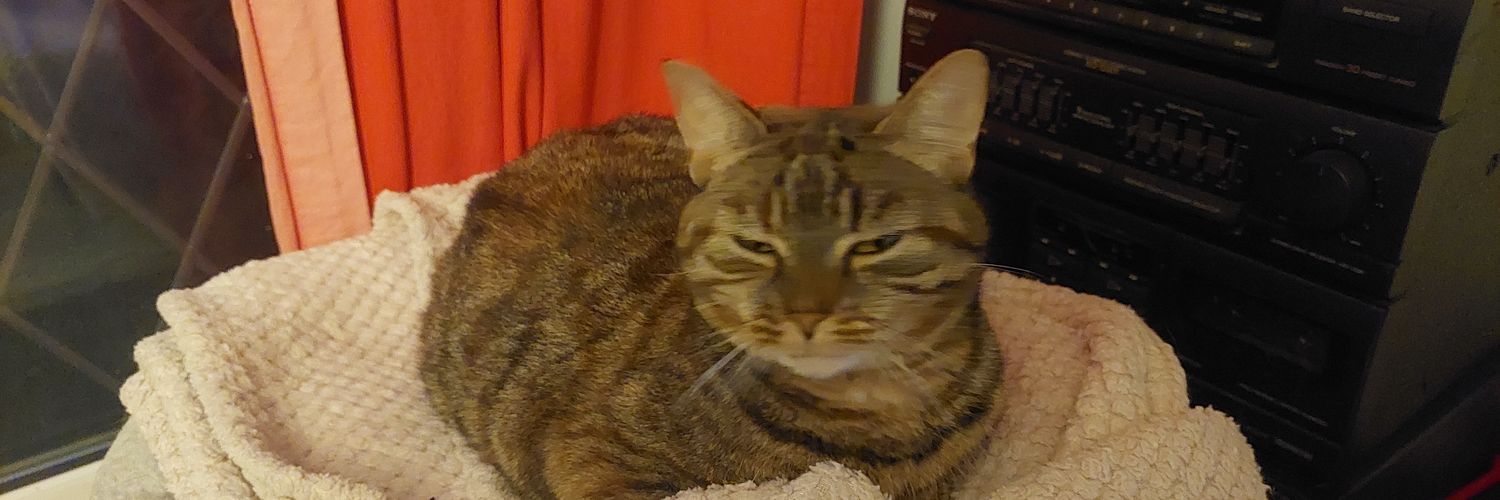 Marcus/Marc (They/Them) 💚 banner