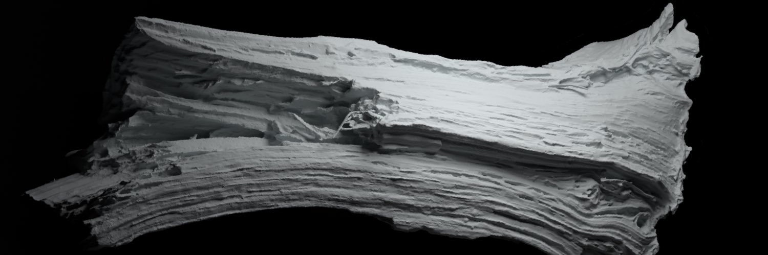 井口憲一 / Kenichi Inokuchi banner