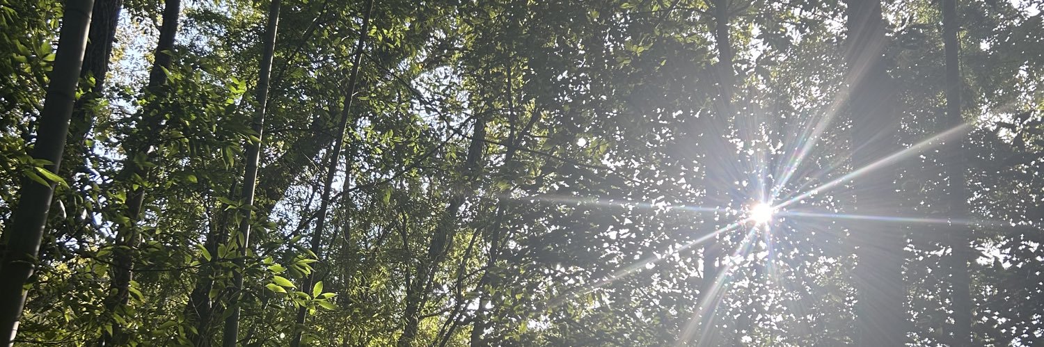 暮らしで、整える🍀ととちゃん banner