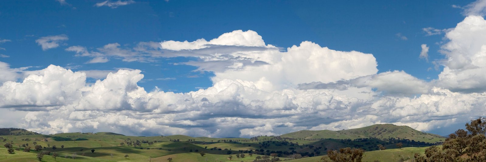 David Clement banner