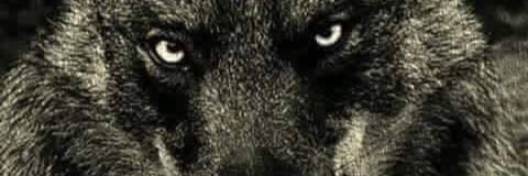 SANSÓN Y DALILA banner