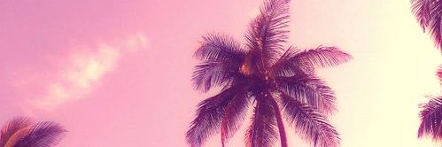 DanniDinter's profile banner image