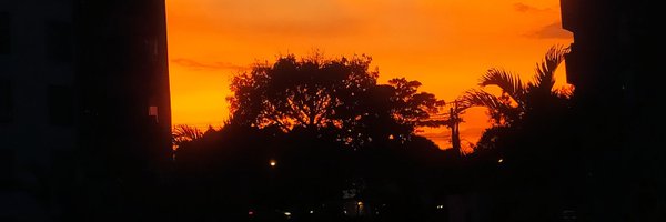 sofialejacs Profile Banner