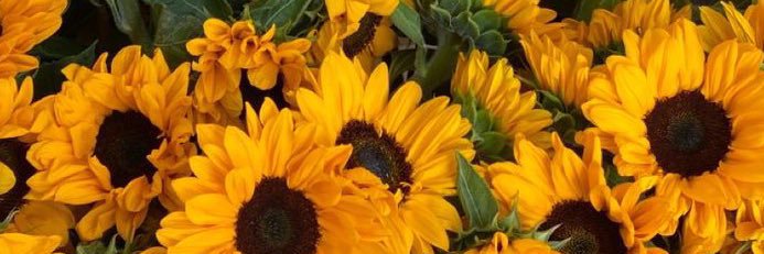 Jane_Bear96's profile banner image
