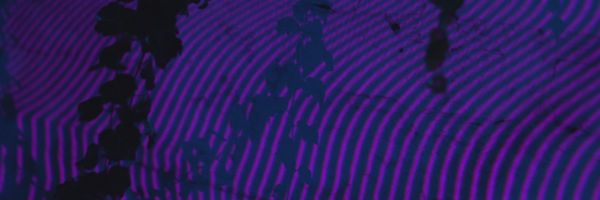 LunesLos's profile banner image