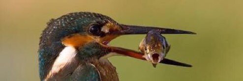 稲葉@水戸ライトハウス banner