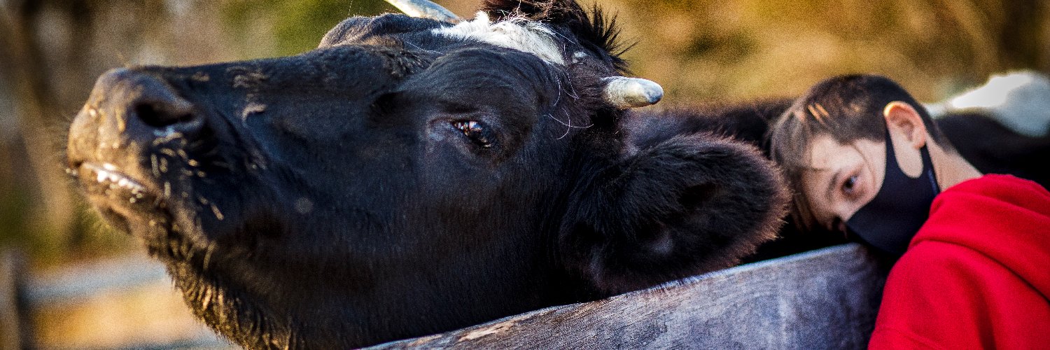 AllaireCommFarm's profile banner image