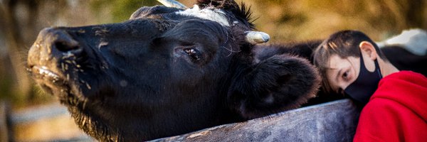 AllaireCommFarm Profile Banner