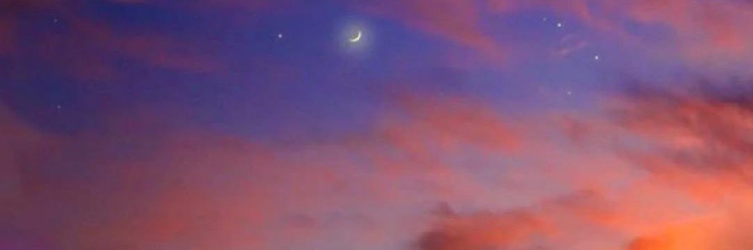 salinaroseee's profile banner image