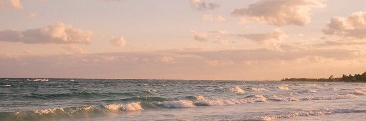 Pri__Rodriguees's profile banner image