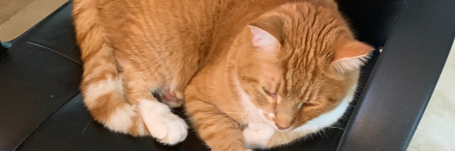 outlyingobs's profile banner image