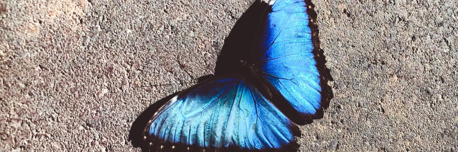 Crawford1818's profile banner image