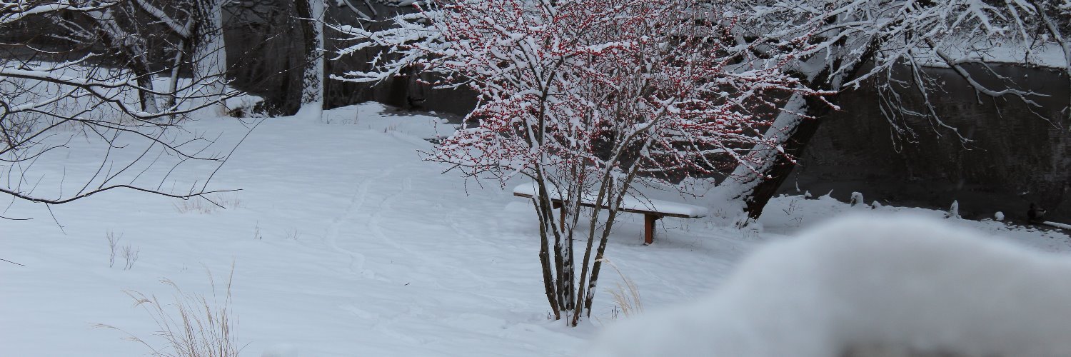 Jennifer Lamb banner