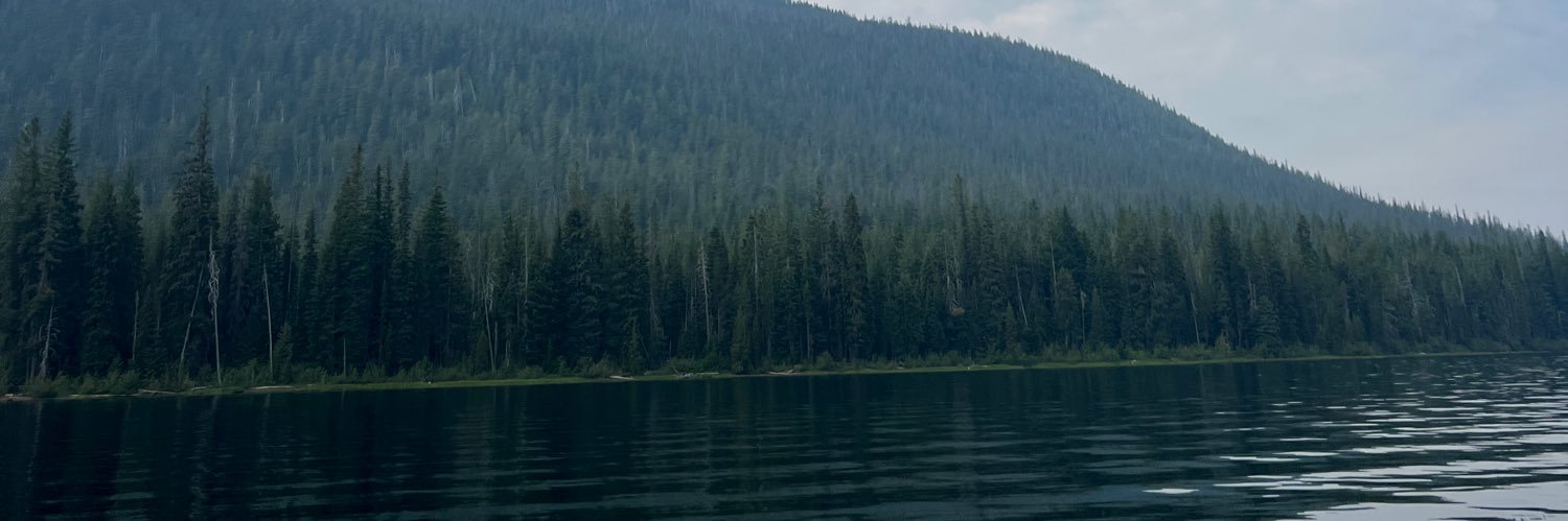 markazi15's profile banner image