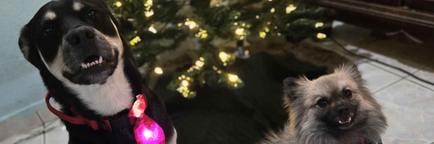 Byleth___'s profile banner image