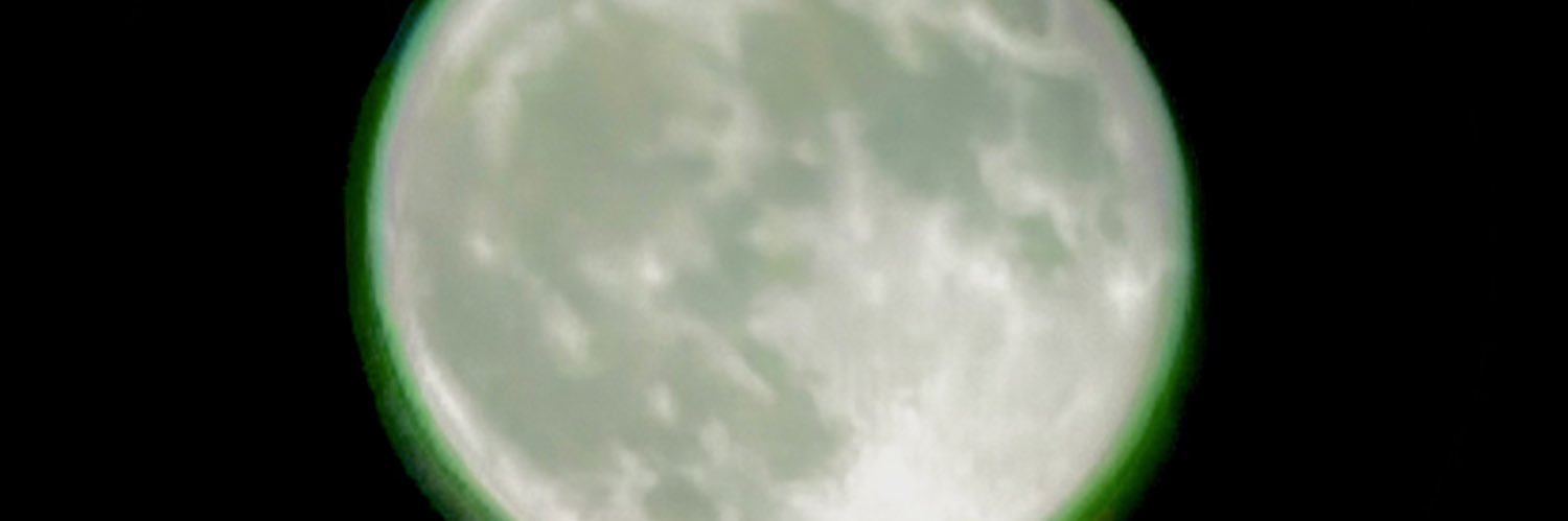 treedszn's profile banner image