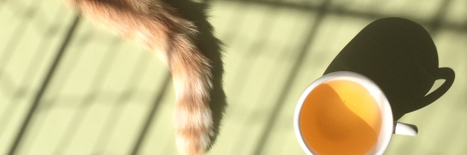 marconovack's profile banner image