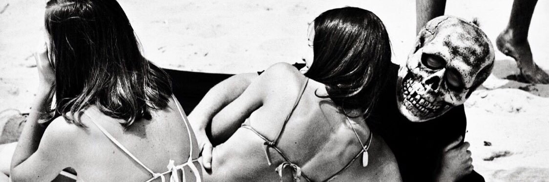 Maxwell Hamilton banner