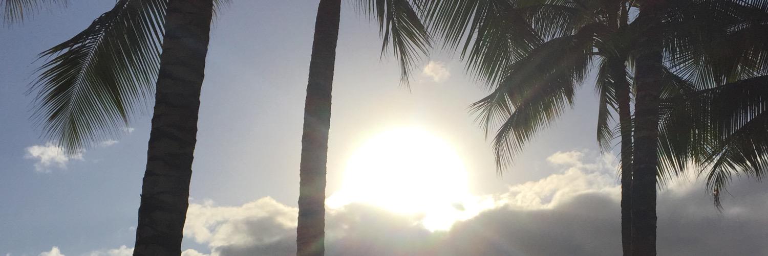 ozkrn0911's profile banner image