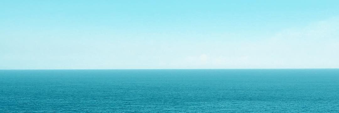 _coenurus's profile banner image
