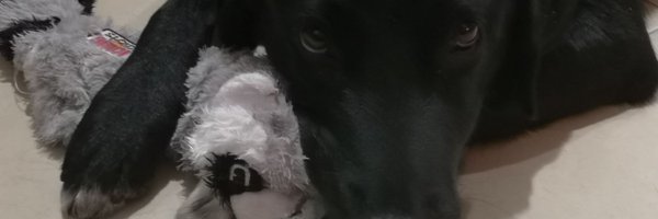 JAXhomme Profile Banner