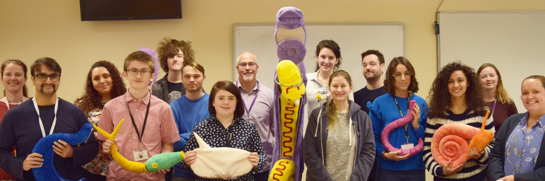 karl hoffmann banner