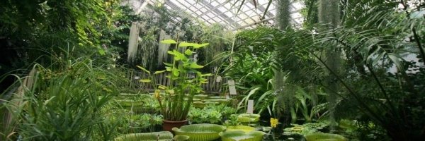 KatjaBaer Profile Banner