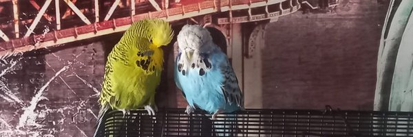 AndyGibsonTV Profile Banner