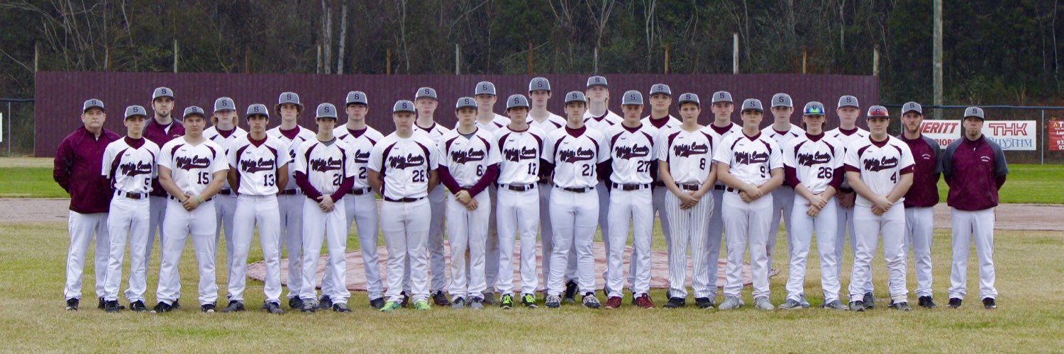 WCHS Baseball banner