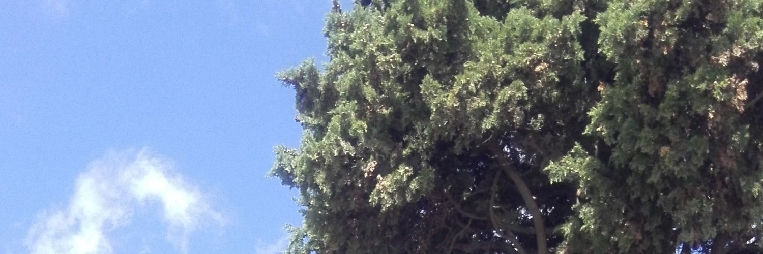 RicardoArgaca banner