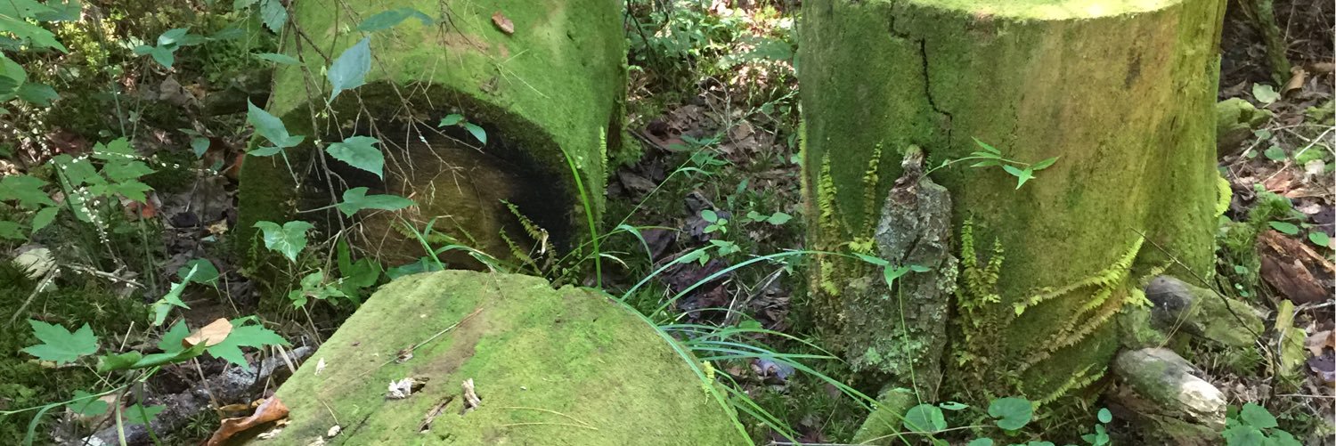 Stuart Brioza banner