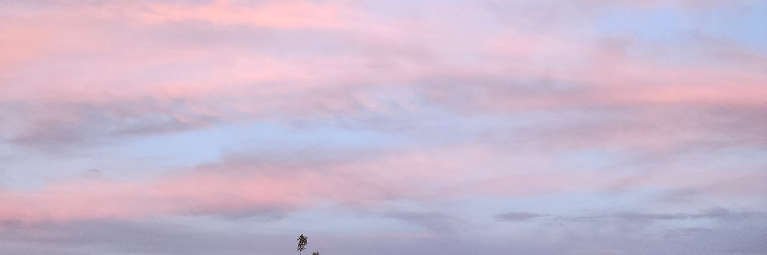 SharksLuvsPTV's profile banner image