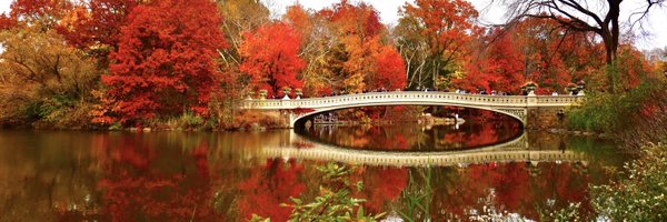 SajidaBalouch Profile Banner