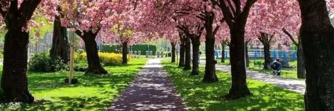 🎀👑 Miss Yecael 👑🇲🇽 #LaFamily banner