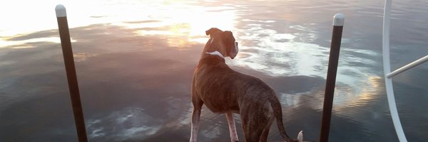 CrayCrayRules Profile Banner