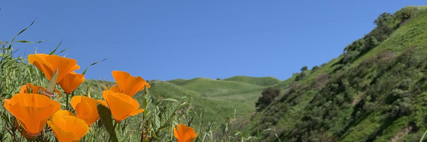 ab_peture's profile banner image