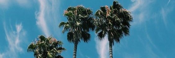 Nabdsftr_'s profile banner image