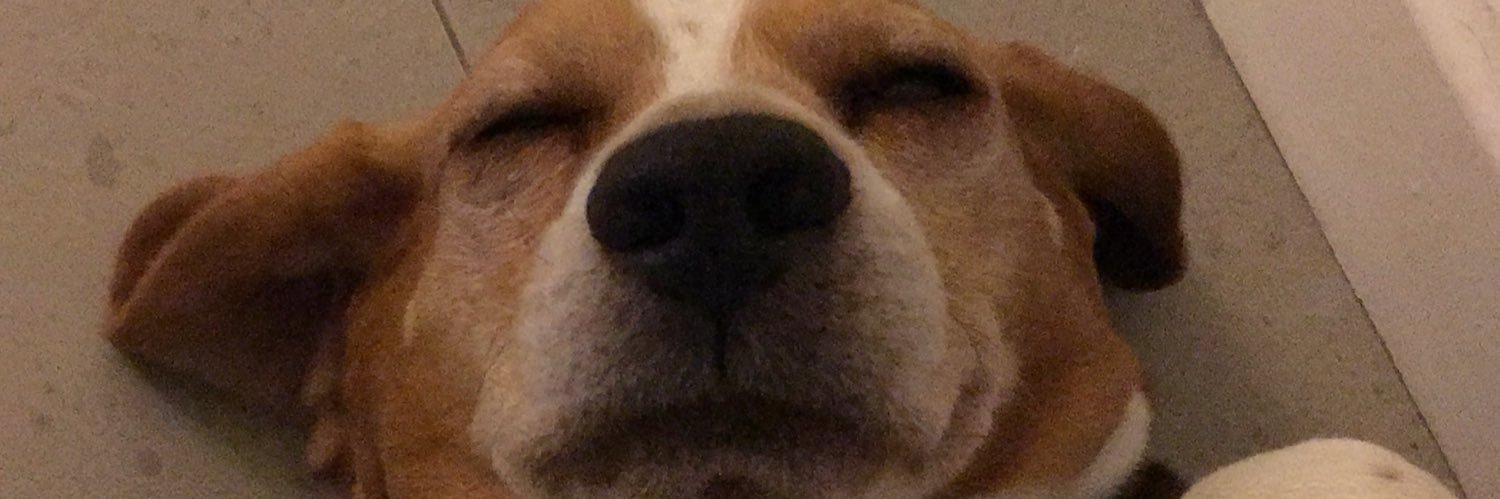 diegobdll's profile banner image