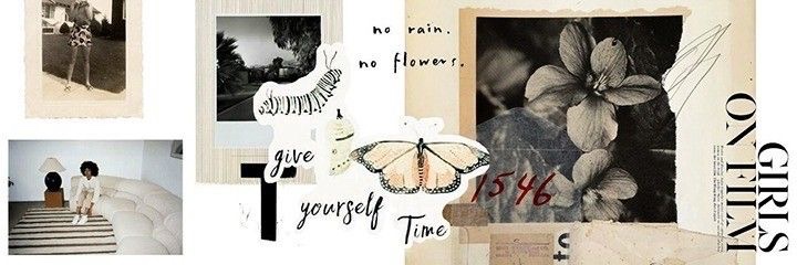 shei. banner
