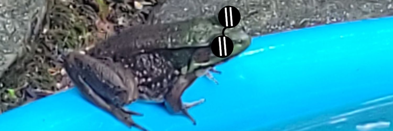 luver4evur's profile banner image