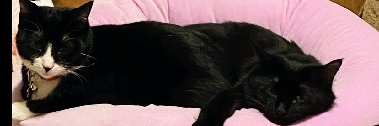 DorisRegina's profile banner image